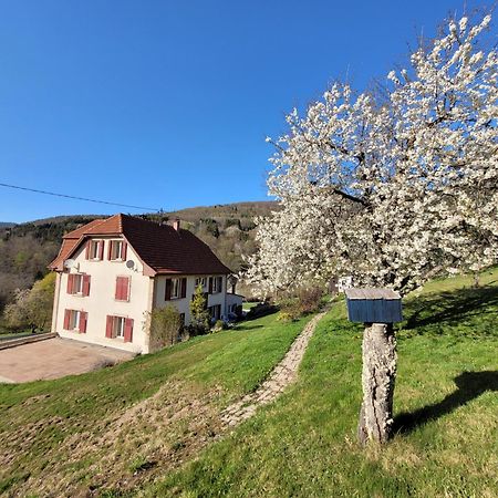 Domaine De La Charriere Sur 63 Ares - 8 Pers Grand Confort Villa Neuviller Esterno foto