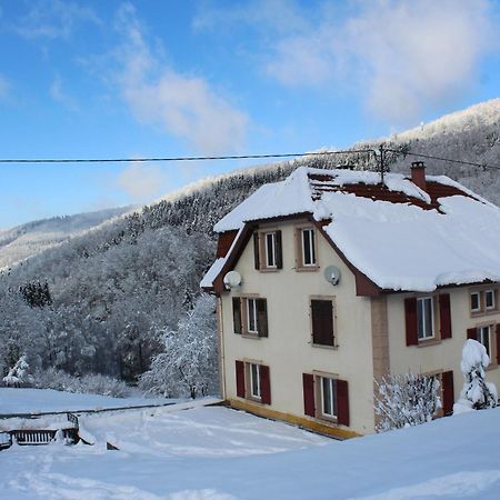 Domaine De La Charriere Sur 63 Ares - 8 Pers Grand Confort Villa Neuviller Esterno foto