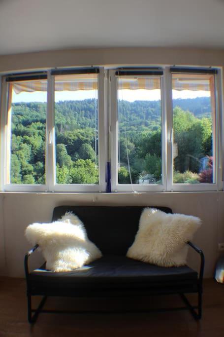 Domaine De La Charriere Sur 63 Ares - 8 Pers Grand Confort Villa Neuviller Esterno foto