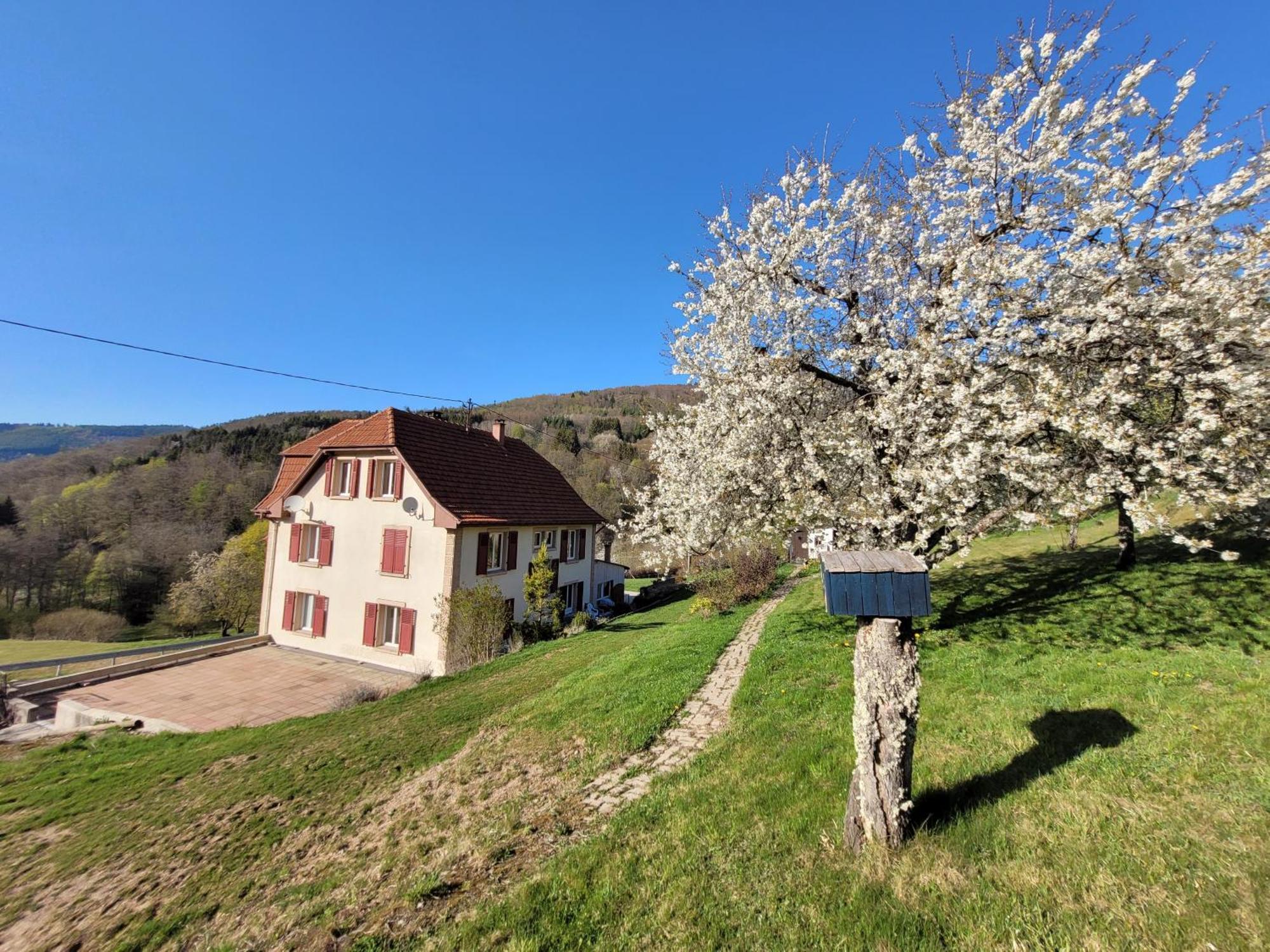 Domaine De La Charriere Sur 63 Ares - 8 Pers Grand Confort Villa Neuviller Esterno foto